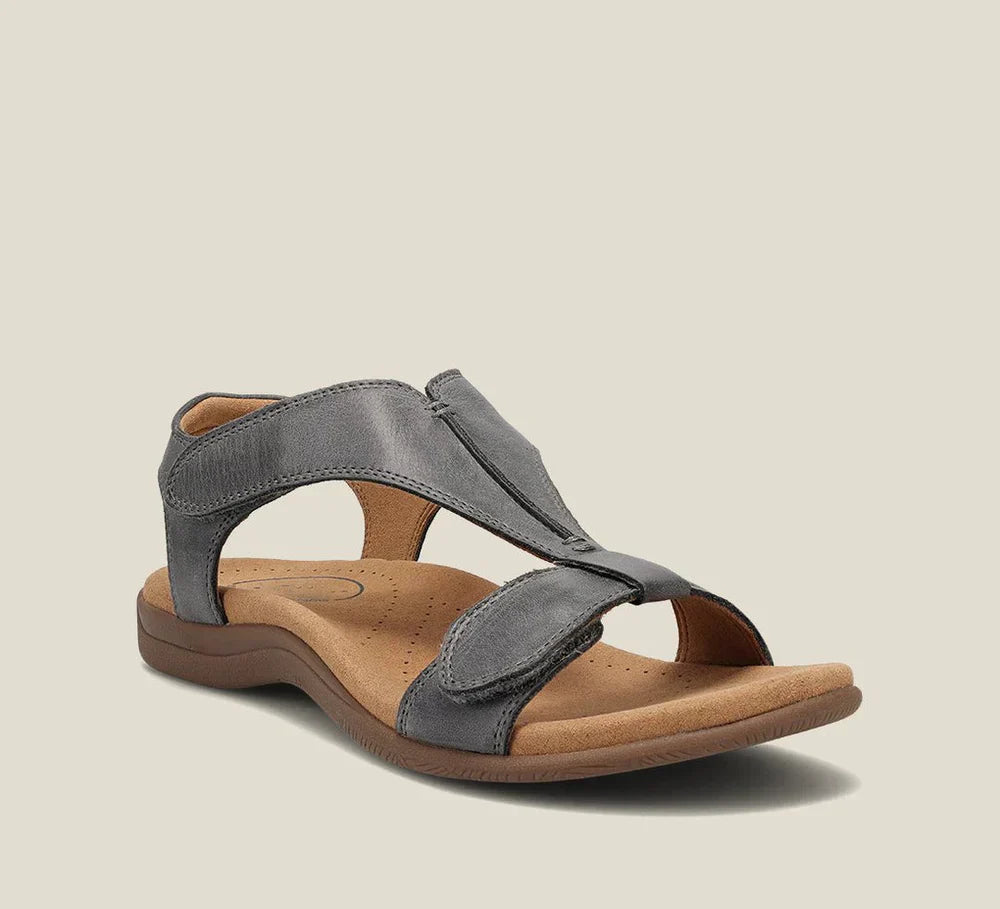 Grey / 43